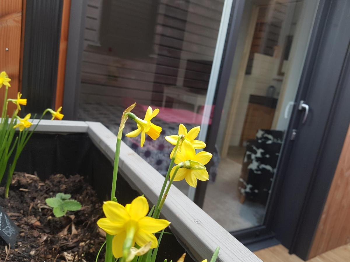 Angers Green Lodge Zewnętrze zdjęcie